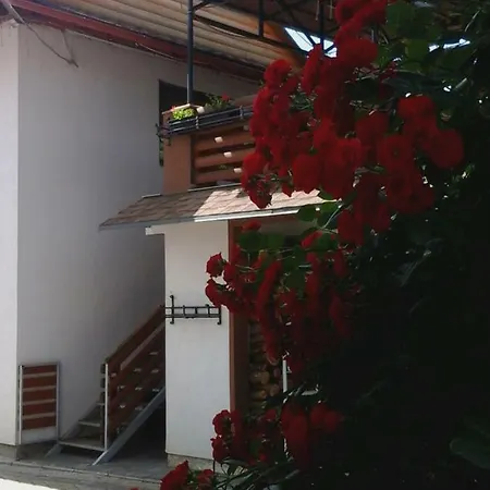 Гостевой дом коттедж Leleka Vyzhnynsia *