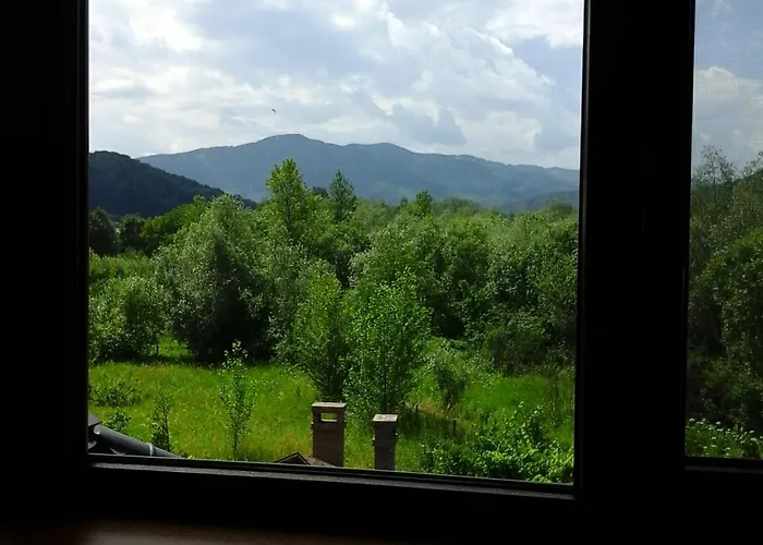 коттедж Leleka Vyzhnynsia Rivna