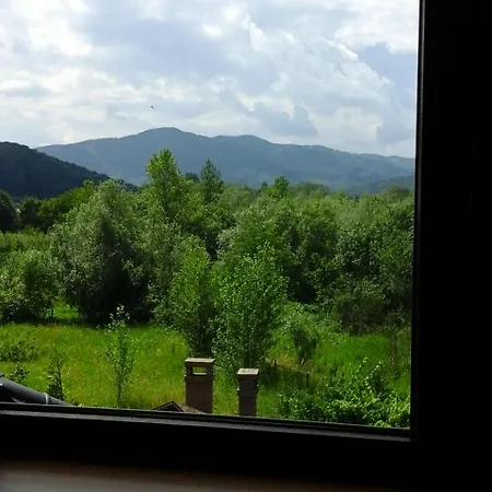 коттедж Leleka Vyzhnynsia Rivna