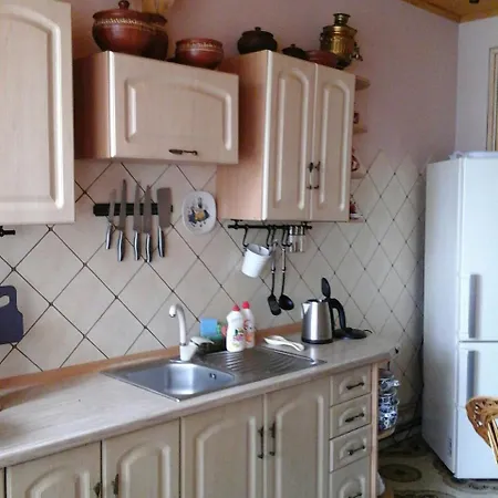 коттедж Leleka Vyzhnynsia Vendégház *