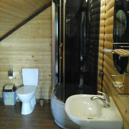 коттедж Leleka Vyzhnynsia Rivna