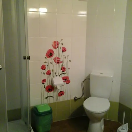 коттедж Leleka Vyzhnynsia Rivna