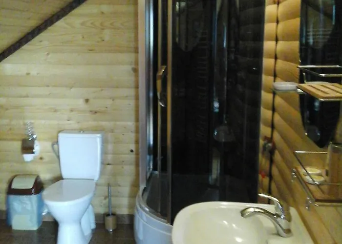 коттедж Leleka Vyzhnynsia Rivna