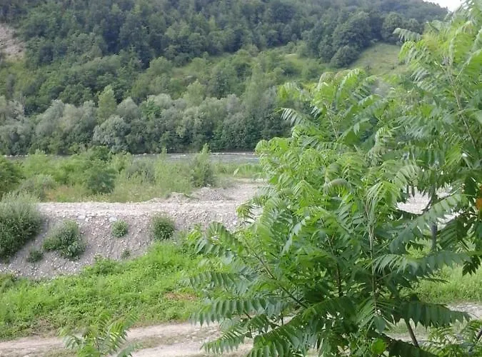 коттедж Leleka Vyzhnynsia 招待所 *
